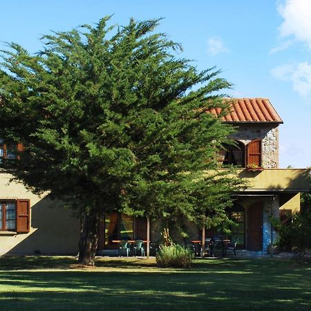 Appartamento Uva - Agriturismo Le Selvole ポマランチェ エクステリア 写真