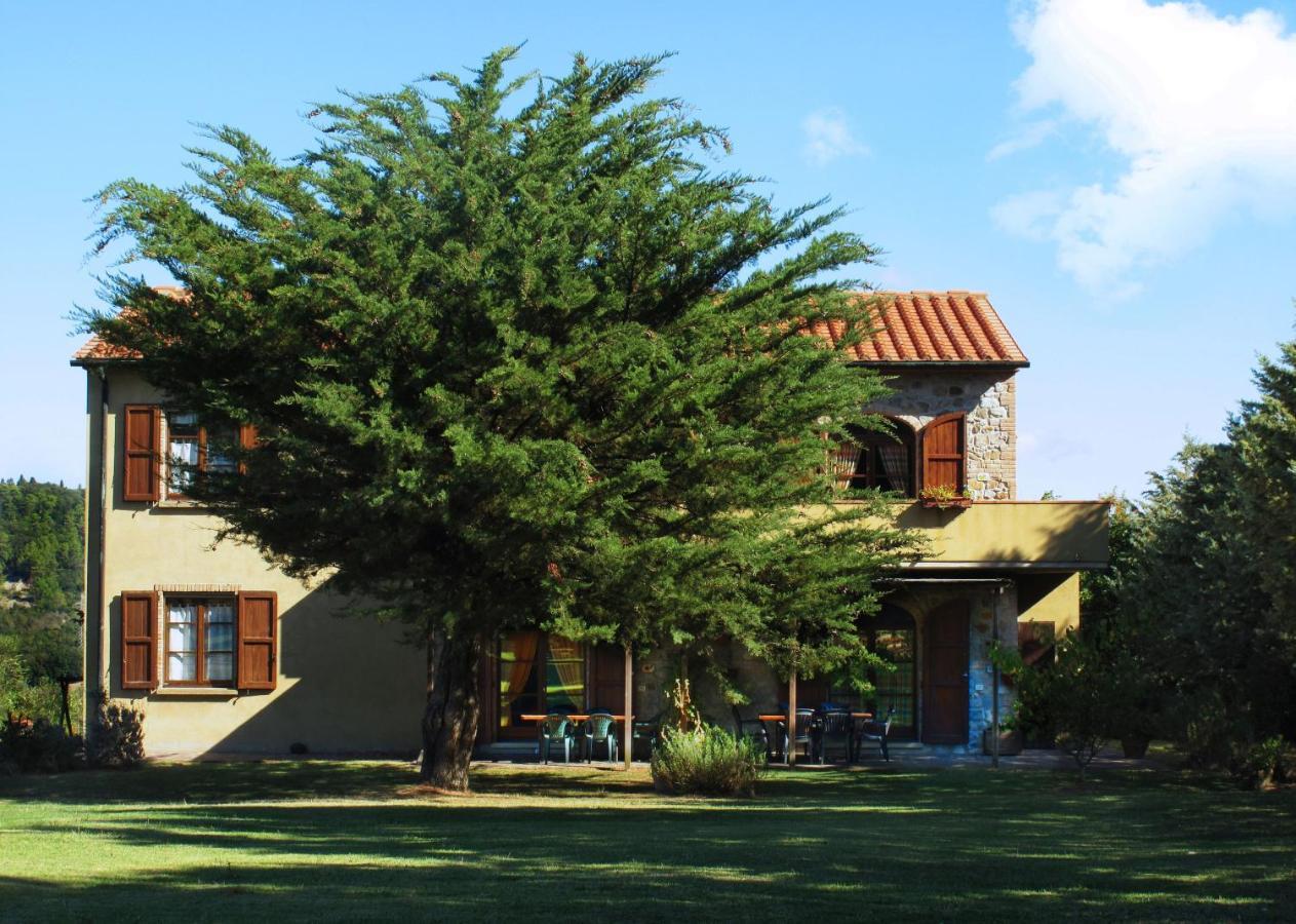 Appartamento Uva - Agriturismo Le Selvole ポマランチェ エクステリア 写真